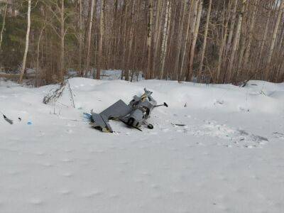 В Подмосковье возле станции "Газпрома" упал беспилотник. Это самый близкий подлет к Москве за время войны – СМИ - gordonua.com - Москва - Россия - Украина - Санкт-Петербург - Московская обл. - Белгородская обл. - респ. Адыгея - Брянская обл.