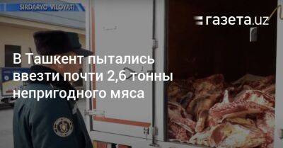 В Ташкент пытались ввезти почти 2,6 тонны непригодного мяса - gazeta.uz - Узбекистан - Самаркандская обл. - Ташкент
