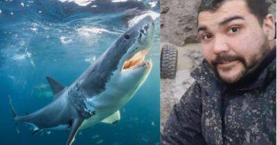 Аргентина - Исчез на квадроцикле, а нашли в желудке акулы: пропавшего мужчину опознали по татуировке - focus.ua - Украина - Австралия - Мексика - Argentina