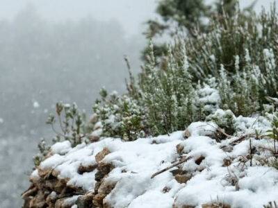 El Pais - Зимний шторм принес снег в испанские Барселону и Майорку - unn.com.ua - Украина - Киев - Испания - шт. Калифорния - Барселона