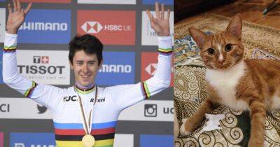 "Моя трехлетняя дочь любила его": чемпион мира по велоспорту застрелил кота министра - focus.ua - Украина - Италия - Австралия - Эмираты - Сан Марино - Сан Марино