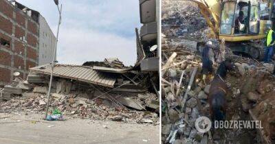 Землетрясение в Турции – на 20-й день после землетрясения из-под завалов вытащили живого коня – видео - obozrevatel.com - Турция