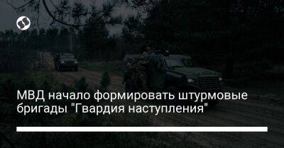 Игорь Клименко - МВД начало формировать штурмовые бригады "Гвардия наступления" - liga.net - Украина