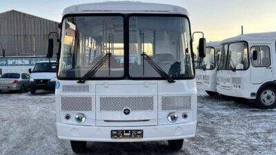 Дилеры ПАЗа приступили к реализации упрощённых автобусов двух моделей - usedcars.ru