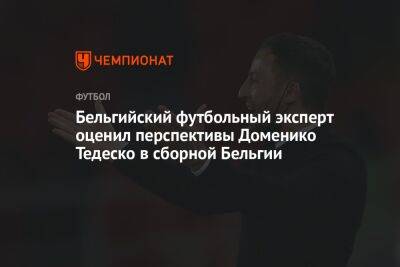 Доменико Тедеско - Бельгийский футбольный эксперт оценил перспективы Доменико Тедеско в сборной Бельгии - championat.com - Москва - Бельгия