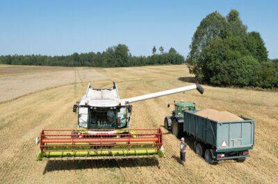 В восточной части ЕС жалуются на дешевое зерно из Украины - obzor.lt - Россия - Украина - Румыния - Венгрия - Польша - Болгария - Чехия - Брюссель - Словакия