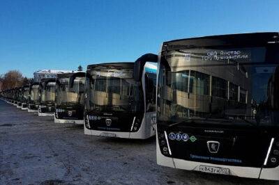 Рынок новых автобусов в январе 2023 года вырос более чем на треть - autostat.ru