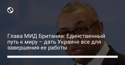 Владимир Зеленский - Владимир Путин - Джеймс Клеверли - Глава МИД Британии: Единственный путь к миру – дать Украине все для завершения ее работы - liga.net - Россия - США - Украина - Англия - Германия - Мальта