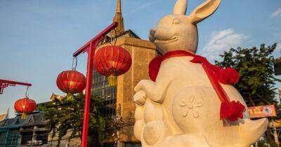 Время возможностей: каким будет год Кролика для знаков китайского календаря - focus.ua - Украина