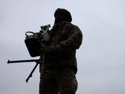 Пограничники показали видео удара по позициям россиян на юге. Видео - gordonua.com - Россия - Украина