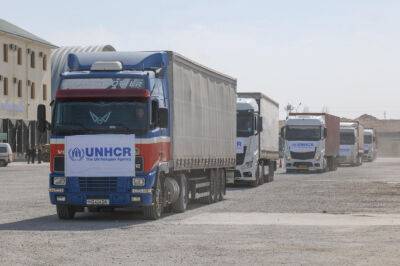 Узбекистан - Узбекистан и ООН отправили новую партию гуманитарной помощи в Афганистан - podrobno.uz - Узбекистан - Иран - Афганистан - Пакистан - Ташкент - Термез