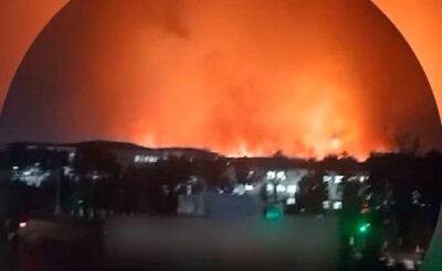 Узбекистанцев взволновал гигантский пожар на окраине Термеза. Власти успокоили жителей, заявив, что это плановое сжигание тростника - podrobno.uz - Узбекистан - Афганистан - Ташкент