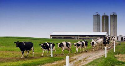 В Гродненской области в 2023 году начнут строить 15 молочно-товарных комплексов - produkt.by - Белоруссия - район Волковысский - район Новогрудский