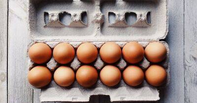 Светлана Литвин - Не по 17 грн. Стало известно, когда куриные яйца будут стоить меньше 5 грн за штуку - focus.ua - Украина - Продовольствие