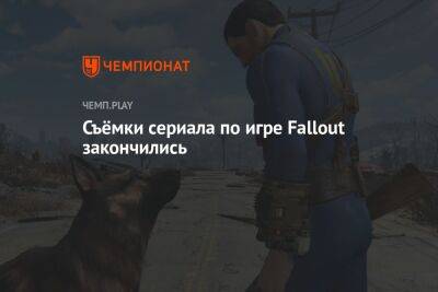 Лариса Крофт - Съёмки сериала по игре Fallout закончились - championat.com