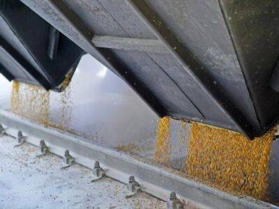 Кипрский суд запретил Argentem Creek Partners продавать зерновой терминал компании в Одессе – заявление GNT Group - gordonua.com - Россия - Украина - Кипр - Одесса