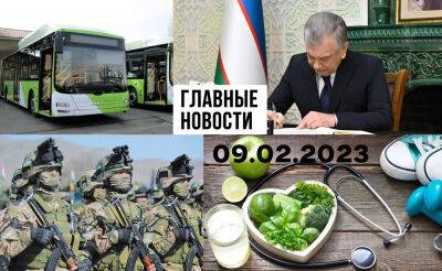 Жена узбекского миллионера, мандат на борьбу и продай энергию. Новости Узбекистана: главное на 9 февраля - podrobno.uz - Узбекистан - Ташкент