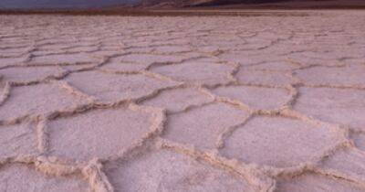 Максим Планк - Пустынные соты. Как циркуляция соленой воды создает шестиугольные узоры, — рассказывают ученые - focus.ua - Украина - Англия - Германия - Боливия - шт. Калифорния - Чили