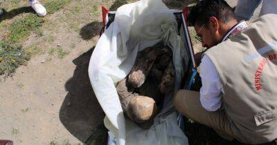 "Хуанита спит со мной": в сумке доставщика еды обнаружили 800-летнюю мумию - focus.ua - Китай - Украина - Перу