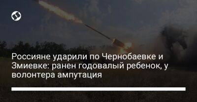 Россияне ударили по Чернобаевке и Змиевке: ранен годовалый ребенок, у волонтера ампутация - liga.net - Украина - Кривой Рог - Херсон - Херсонская обл.