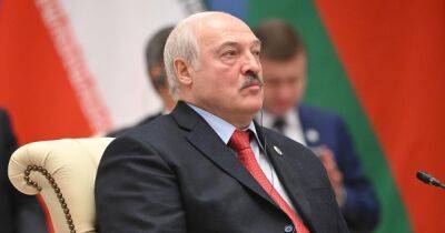 Александр Лукашенко - "Лукашенко в панике": белорусские партизаны пытаются заставить россиян уйти, — СМИ - focus.ua - Россия - Украина - Белоруссия