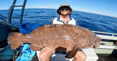"Абсолютный монстр": мужчина поймал на удочку гигантскую рыбу "Кодзиллу" (видео) - focus.ua - Украина - Австралия - штат Луизиана - Юар