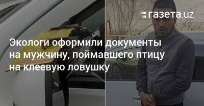 Экологи оформили документы на мужчину, поймавшего птицу на клеевую ловушку - gazeta.uz - Узбекистан - Экология