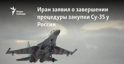 Иран заявил о завершении процедуры закупки Су-35 у России - svoboda.org - Россия - Египет - Турция - Иран - Тегеран