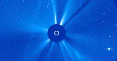 Аппараты NASA зафиксировали необычный выброс плазмы на Солнце: есть ли угроза для Земли (фото) - focus.ua - Украина - Меркурий