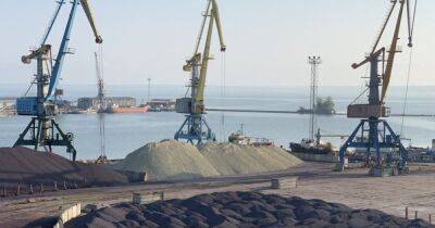 Заплатили 220 миллионов гривен: в Украине продали Белгород-Днестровский порт: кто станет новым собственником - focus.ua - Украина - Белгород