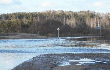 В Беларуси на многих реках наблюдается рост уровней воды - charter97.org - Белоруссия - Гомельская обл.