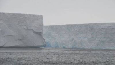 Британские ученые отслеживают два огромных айсберга, которые вошли в Атлантику - unn.com.ua - Украина - Киев - Англия - Лондон - Антарктида - Чили - Мальвинские Острова