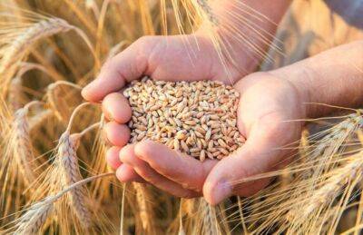 Хулуси Акар - Турция хочет продления «зернового соглашения» на 120 дней - minfin.com.ua - Россия - Украина - Турция - Анкара