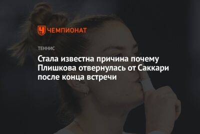 Каролина Плишкова - Марья Саккари - Стала известна причина почему Плишкова отвернулась от Саккари после конца встречи - championat.com - США - Греция - шт. Индиана