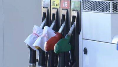 Водители в восторге: цены на бензин и дизель в Украине продолжают падать – сколько стоит литр - ukrainianwall.com - Украина - Киев