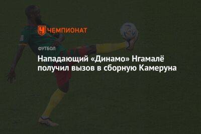 Нападающий «Динамо» Нгамалё получил вызов в сборную Камеруна - championat.com - Москва - Камерун - Намибия