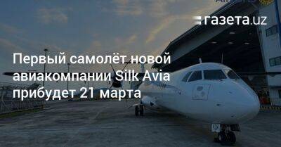 Первый самолёт новой авиакомпании Silk Avia прибудет 21 марта - gazeta.uz - Узбекистан - Египет - Индия - Кипр - Азербайджан - Сингапур - Бангкок - Оман