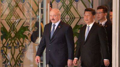 Александр Лукашенко - Си Цзиньпин - Николай Снопков - Экономический эффект от визита Лукашенко в Китай оценили в $3,5 млрд - obzor.lt - Китай - Белоруссия