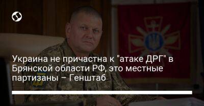 Михаил Подоляк - Украина не причастна к "атаке ДРГ" в Брянской области РФ, это местные партизаны – Генштаб - liga.net - Россия - Украина - Брянская обл.