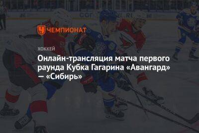 Владимир Ткачев - Онлайн-трансляция матча первого раунда Кубка Гагарина «Авангард» — «Сибирь» - championat.com - Омск - Новосибирская обл.