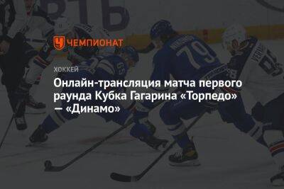 Онлайн-трансляция матча первого раунда Кубка Гагарина «Торпедо» — «Динамо» - championat.com - Москва - Нижегородская обл. - Нижний Новгород