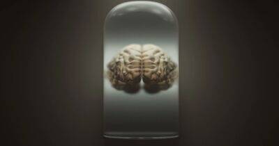 Эпицентр безумия: ученые используют самую большую коллекцию мозгов для исследования заболеваний - focus.ua - Украина - Дания - Копенгаген