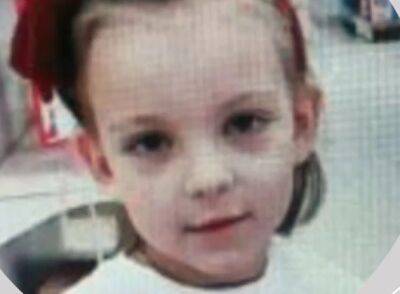 "Было слышно много людей": 8-летняя Софийка и ее мама исчезли при загадочных обстоятельствах - politeka.net - Украина - Киев