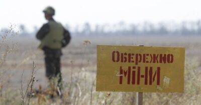 Минное поле: вырастет ли в этом году пшеница на засеянных российскими минами полях - focus.ua - Украина
