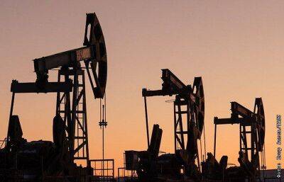 Александр Новак - Россия продлит сокращение добычи нефти на 500 тысяч б/с до июня - smartmoney.one - Москва - Россия