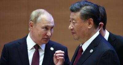 Владимир Зеленский - Владимир Путин - Си Цзиньпин - Китай хочет украинское зерно и возобновления торговли с Западом, — эксперты - focus.ua - Китай - Украина