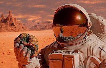 Мэтт Деймон - Ученые предлагают астронавтам на Марсе жить в домах из картофеля - charter97.org - Белоруссия