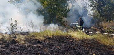 На Харьковщине случилось восемь пожаров в экосистемах — начали жечь сухостой - objectiv.tv - Россия - Украина - Харьковская обл. - Харьков - Гсчс