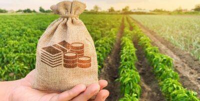В 2022 году почти вдвое выросло кредитование аграриев: Какие банки поддерживают фермеров - minfin.com.ua - Россия - Украина