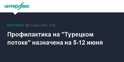 Профилактика на "Турецком потоке" назначена на 5-12 июня - smartmoney.one - Москва - Россия - Турция - Венгрия - Болгария